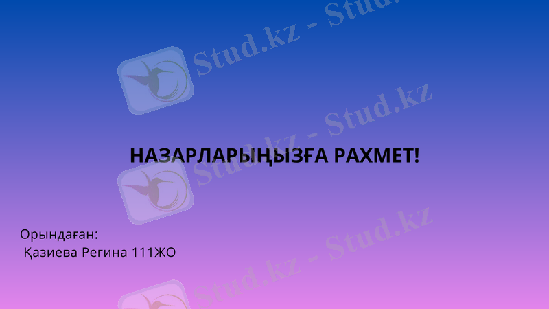 Slide 8