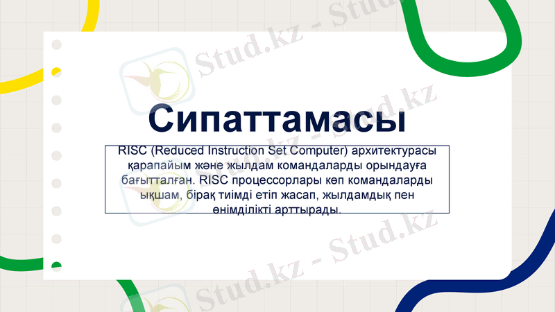Slide 8
