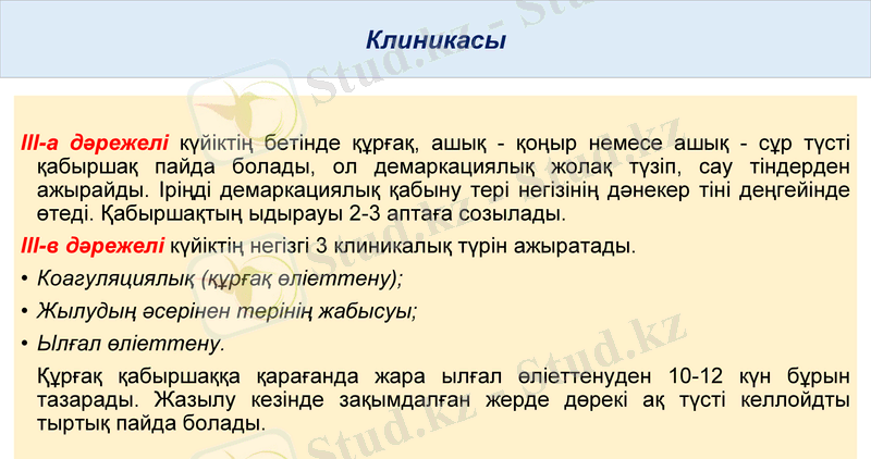 Slide 10