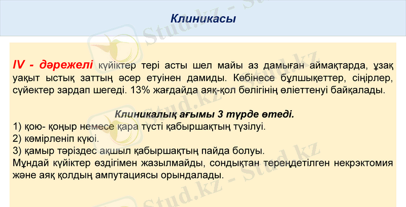 Slide 11