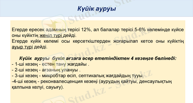 Slide 12