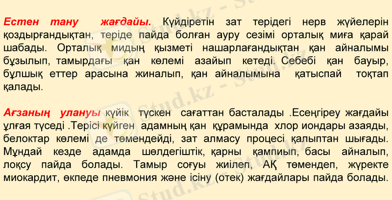 Slide 13