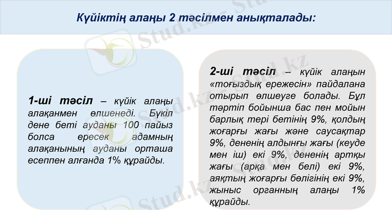 Slide 7