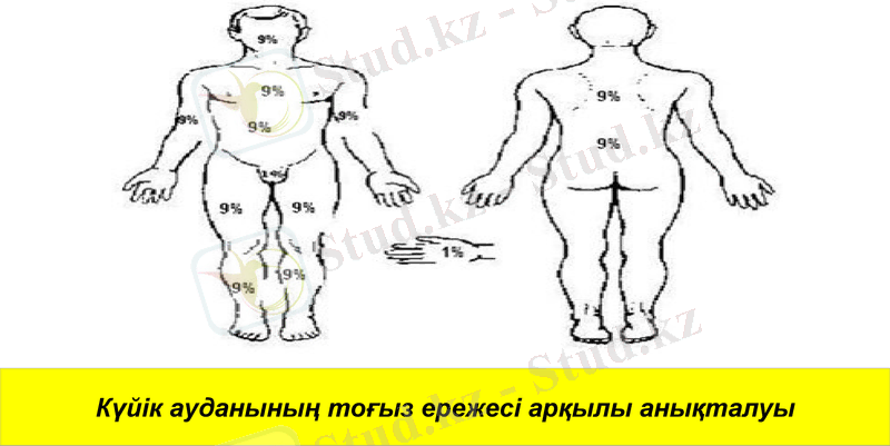 Slide 8