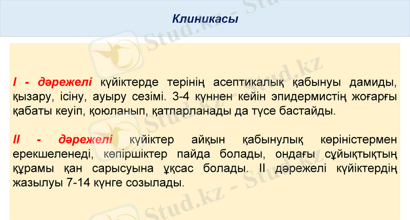 Slide 9