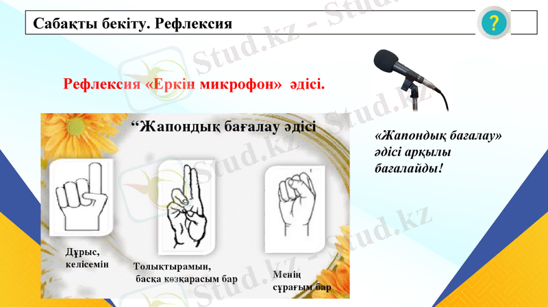 Slide 8