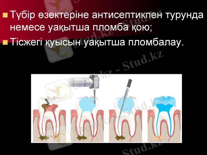 Slide 13