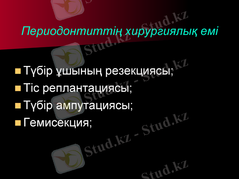 Slide 19
