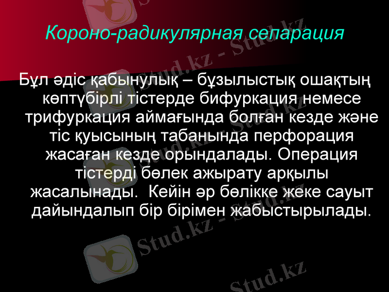 Slide 27