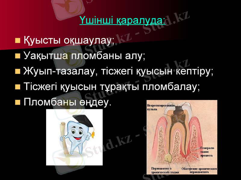 Slide 7