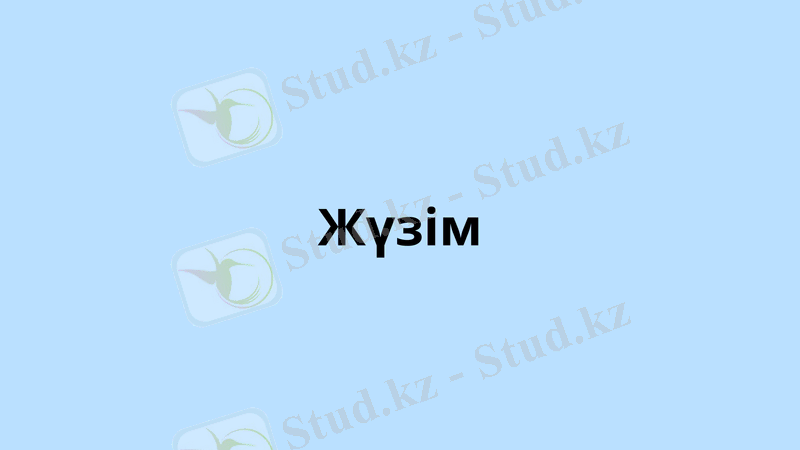 Slide 11