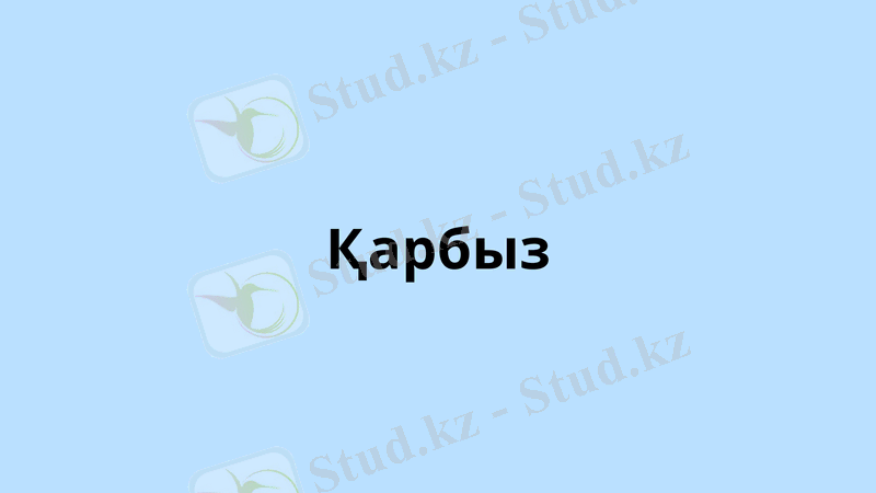 Slide 13