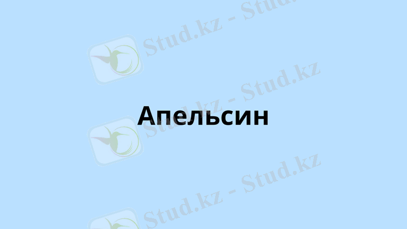 Slide 16