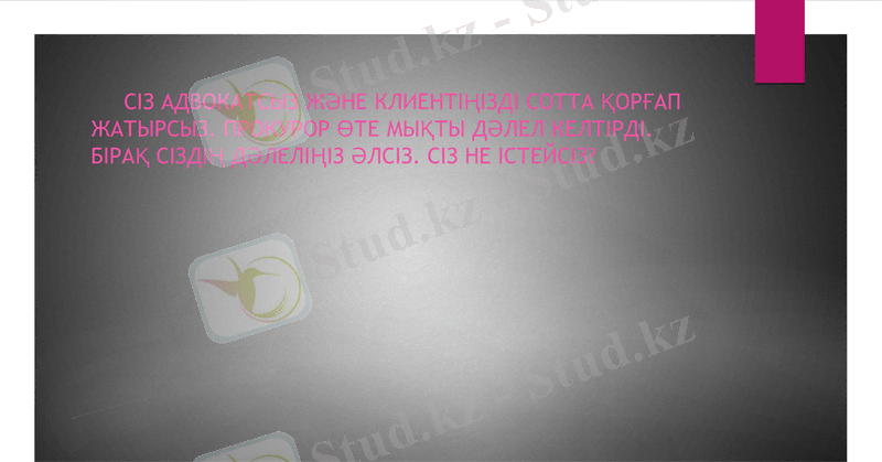 Slide 13